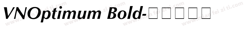 VNOptimum Bold字体转换